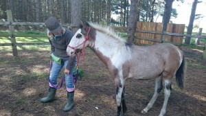 Introducing the Halter to Diesel