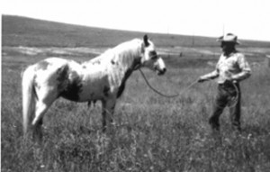 Emmett Brislawn with San Domingo - SMR 4 Medicine Hat Stallion from Santo Domingo Pueblo, NM This is the horse that Margurite Henry used for her book, "San Domingo, Medicine Hat Stallion" photo © Brislawns