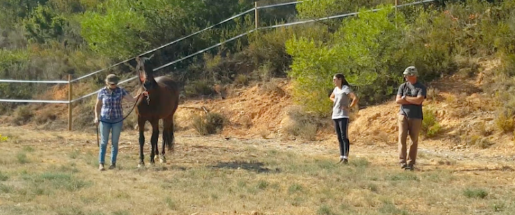 First lead on the left, under the attentive gaze of Gema and Pablo. Note the high head and tension.
