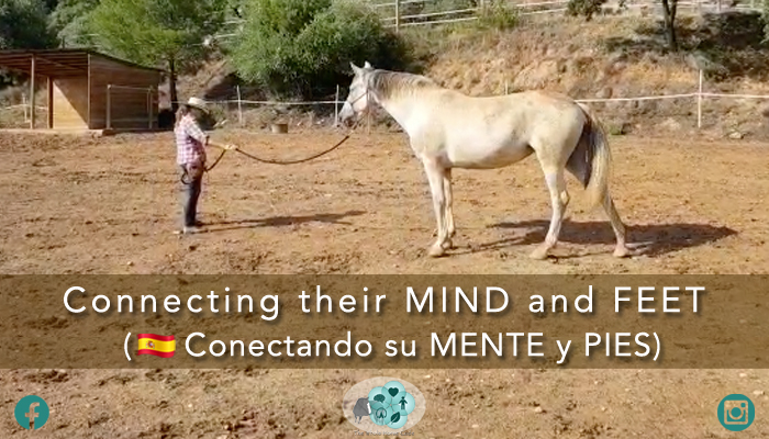Connecting their MIND and FEET (🇪🇸 Conectando su Mente y Pies)
