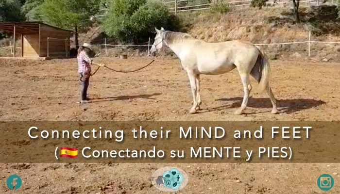 Connecting their MIND and FEET (?? Conectando su Mente y Pies)